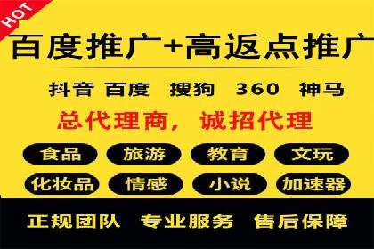 成功运用SEM技术提升网站流量的案例研究